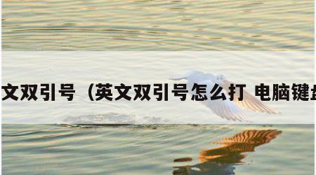 英文双引号（英文双引号怎么打 电脑键盘）