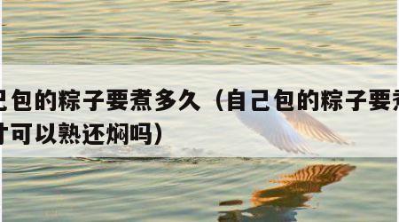 自己包的粽子要煮多久（自己包的粽子要煮多久才可以熟还焖吗）