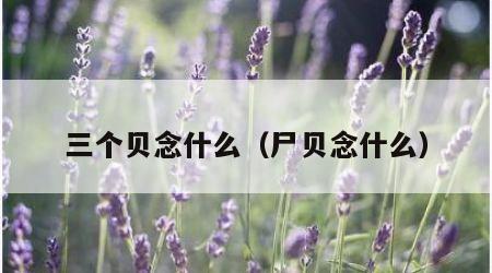 三个贝念什么（尸贝念什么）
