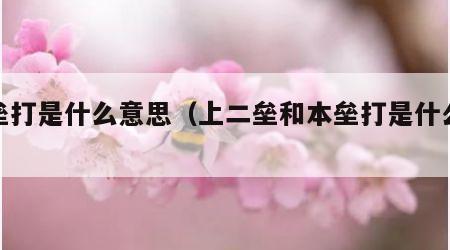 本垒打是什么意思（上二垒和本垒打是什么意思）