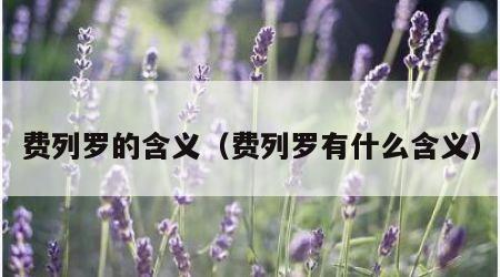 费列罗的含义（费列罗有什么含义）
