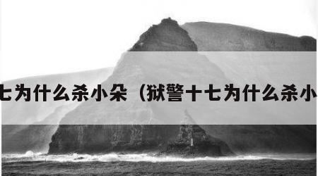 十七为什么杀小朵（狱警十七为什么杀小朵）