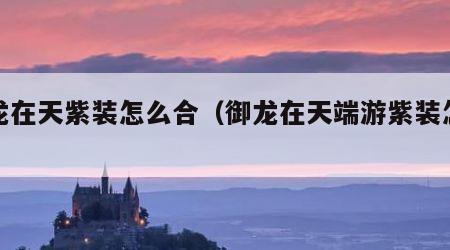 御龙在天紫装怎么合（御龙在天端游紫装怎么弄）