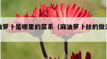 麻油萝卜是哪里的菜系（麻油萝卜丝的做法窍门）