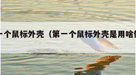 第一个鼠标外壳（第一个鼠标外壳是用啥做的）