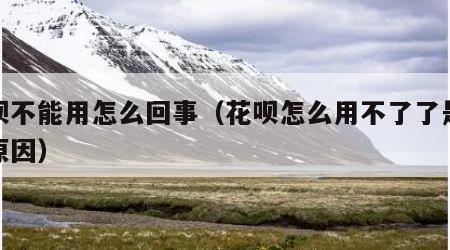 花呗不能用怎么回事（花呗怎么用不了了是什么原因）