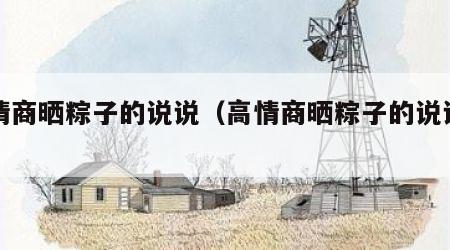 高情商晒粽子的说说（高情商晒粽子的说说文案）