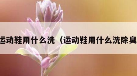 运动鞋用什么洗（运动鞋用什么洗除臭）
