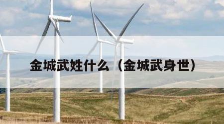 金城武姓什么（金城武身世）