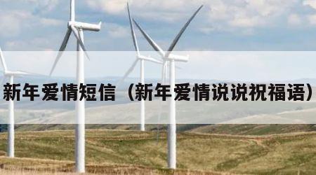 新年爱情短信（新年爱情说说祝福语）