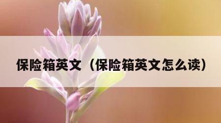 保险箱英文（保险箱英文怎么读）