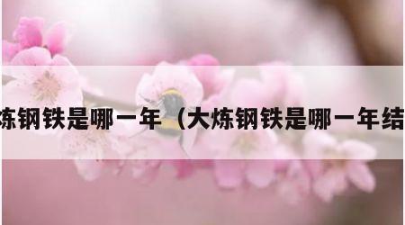 大炼钢铁是哪一年（大炼钢铁是哪一年结束）