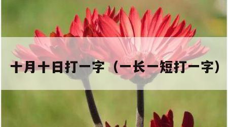 十月十日打一字（一长一短打一字）
