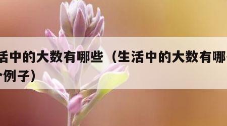 生活中的大数有哪些（生活中的大数有哪些10个例子）