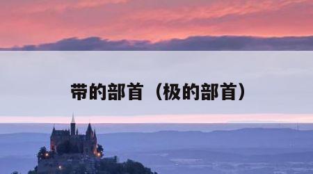 带的部首（极的部首）