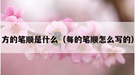 方的笔顺是什么（每的笔顺怎么写的）