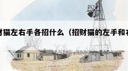 招财猫左右手各招什么（招财猫的左手和右手）