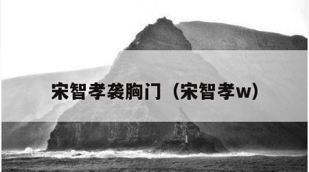 宋智孝袭胸门（宋智孝w）