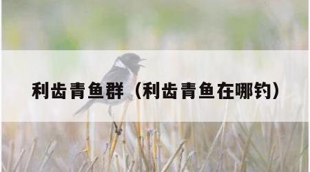 利齿青鱼群（利齿青鱼在哪钓）