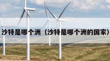 沙特是哪个洲（沙特是哪个洲的国家）