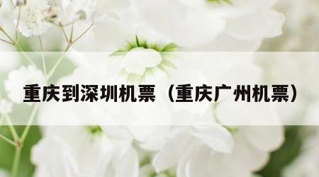 重庆到深圳机票（重庆广州机票）