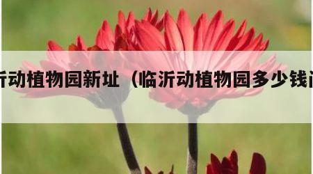 临沂动植物园新址（临沂动植物园多少钱门票）
