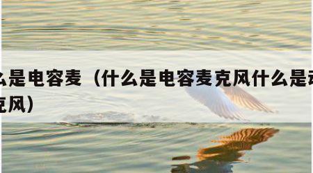 什么是电容麦（什么是电容麦克风什么是动圈麦克风）
