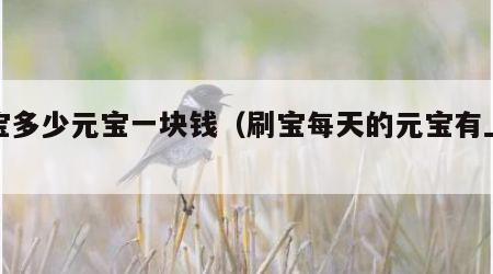 刷宝多少元宝一块钱（刷宝每天的元宝有上限吗）