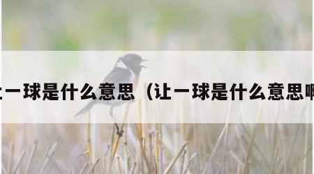 让一球是什么意思（让一球是什么意思啊）