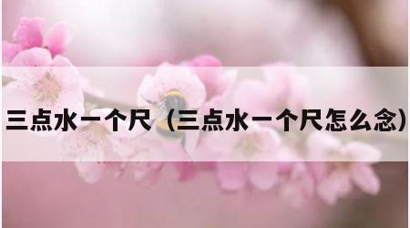 三点水一个尺（三点水一个尺怎么念）