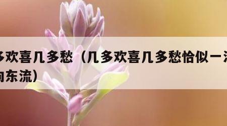 几多欢喜几多愁（几多欢喜几多愁恰似一江春水向东流）