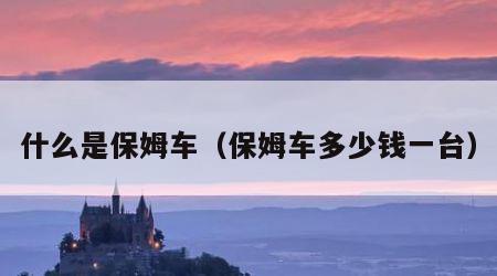 什么是保姆车（保姆车多少钱一台）