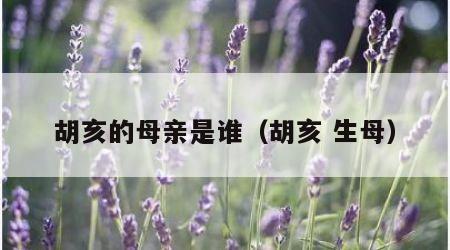 胡亥的母亲是谁（胡亥 生母）