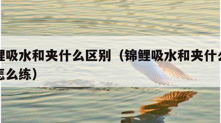 锦鲤吸水和夹什么区别（锦鲤吸水和夹什么区别怎么练）