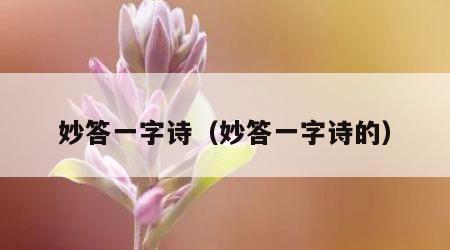 妙答一字诗（妙答一字诗的）