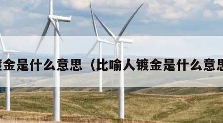 镀金是什么意思（比喻人镀金是什么意思）