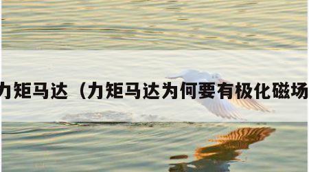 力矩马达（力矩马达为何要有极化磁场）
