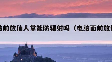 电脑前放仙人掌能防辐射吗（电脑面前放仙人掌）