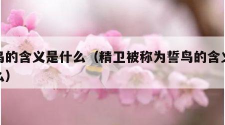 誓鸟的含义是什么（精卫被称为誓鸟的含义是什么）