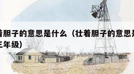 壮着胆子的意思是什么（壮着胆子的意思是什么三年级）