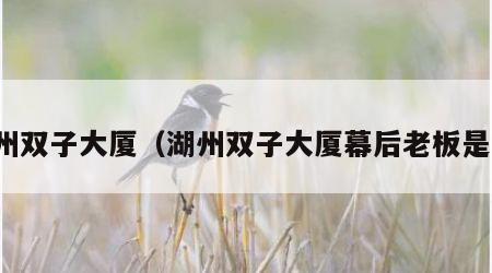 湖州双子大厦（湖州双子大厦幕后老板是谁）