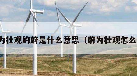 蔚为壮观的蔚是什么意思（蔚为壮观怎么读）