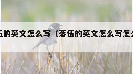 落伍的英文怎么写（落伍的英文怎么写怎么读）