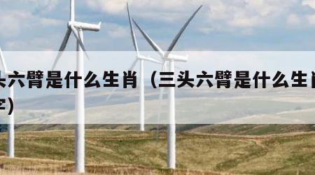 三头六臂是什么生肖（三头六臂是什么生肖或数字）