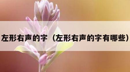 左形右声的字（左形右声的字有哪些）