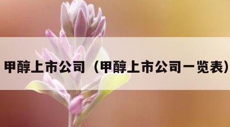 甲醇上市公司（甲醇上市公司一览表）