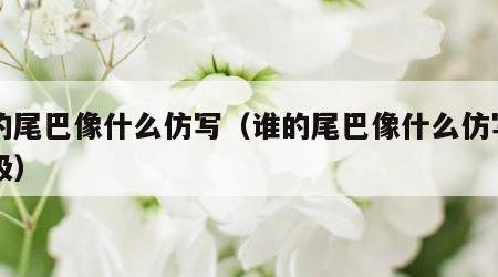 谁的尾巴像什么仿写（谁的尾巴像什么仿写一年级）