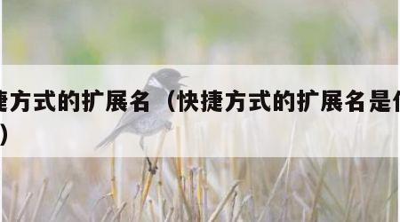 快捷方式的扩展名（快捷方式的扩展名是什么ink）