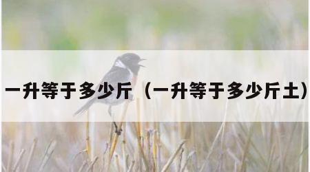 一升等于多少斤（一升等于多少斤土）