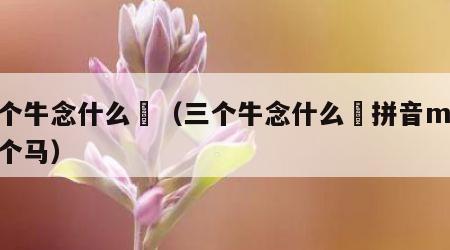 三个牛念什么犇（三个牛念什么犇拼音mao三个马）